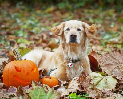 You look like you've seen a ghost