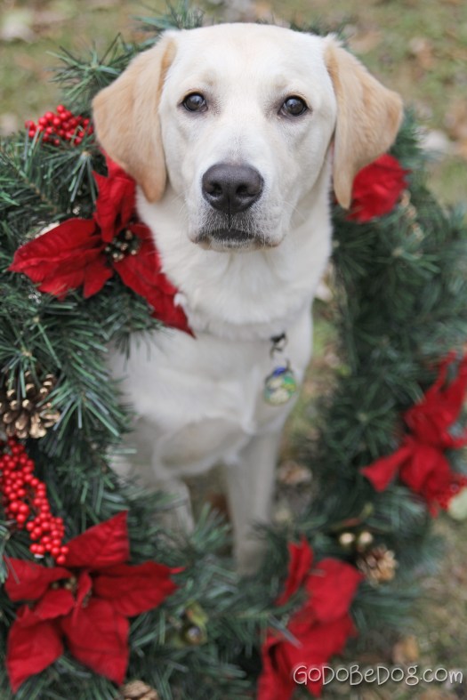 copyright donnasword.com