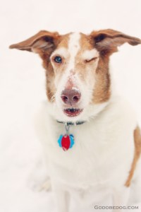 "Naw, you can trust me," says Jager.